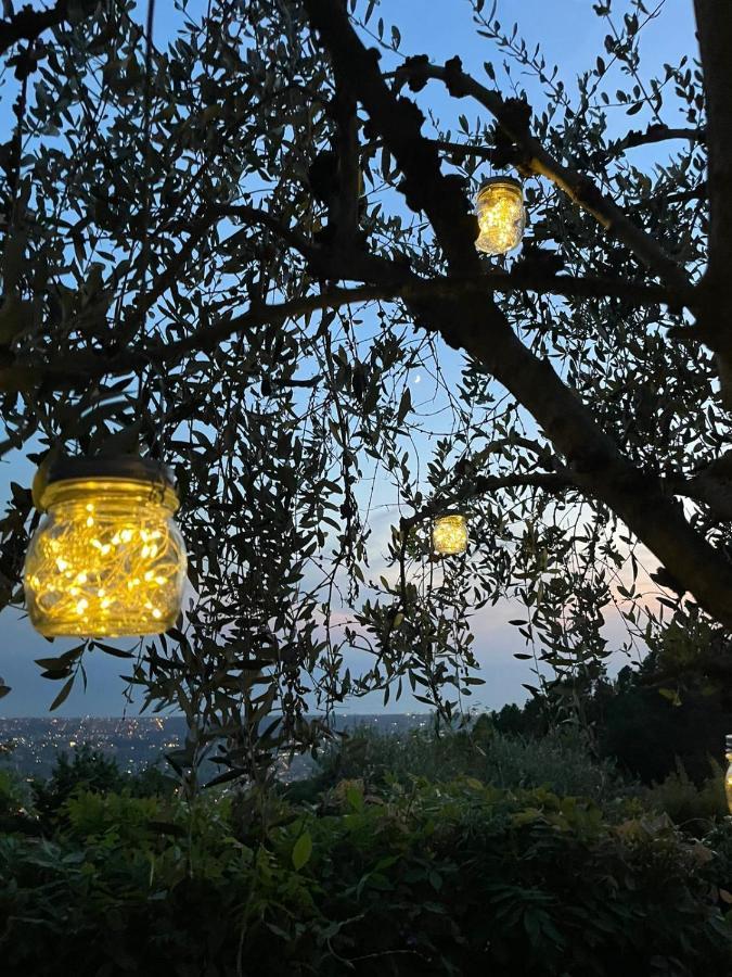 La Terrazza Sulla Versilia 彼得拉桑塔 外观 照片