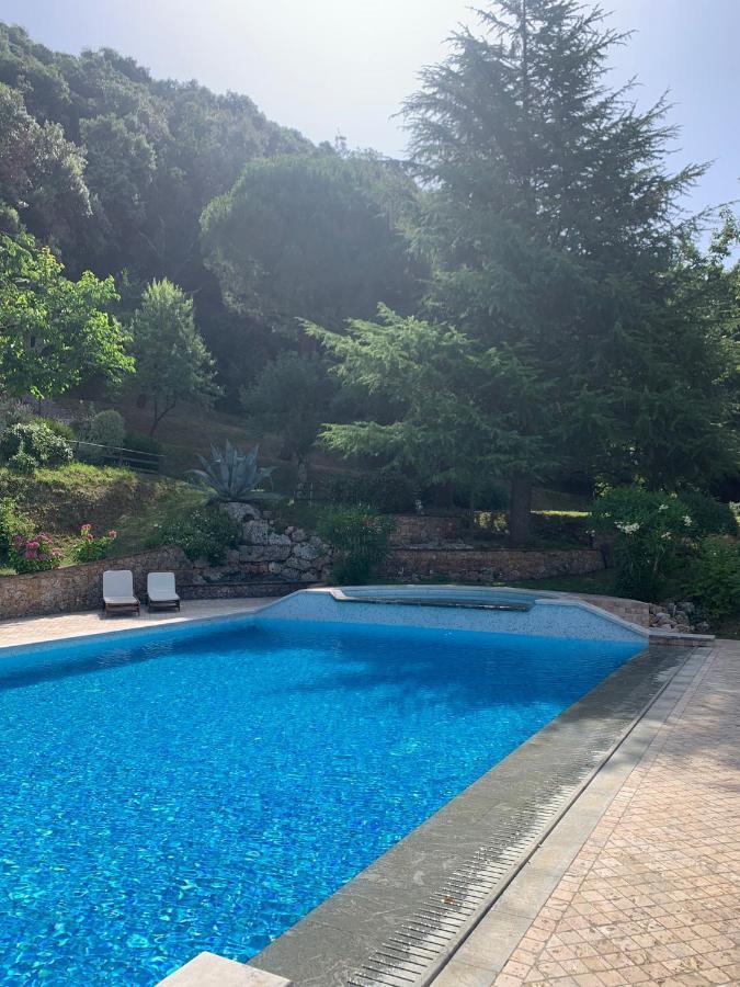 La Terrazza Sulla Versilia 彼得拉桑塔 外观 照片