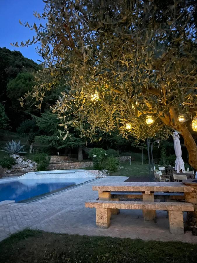 La Terrazza Sulla Versilia 彼得拉桑塔 外观 照片