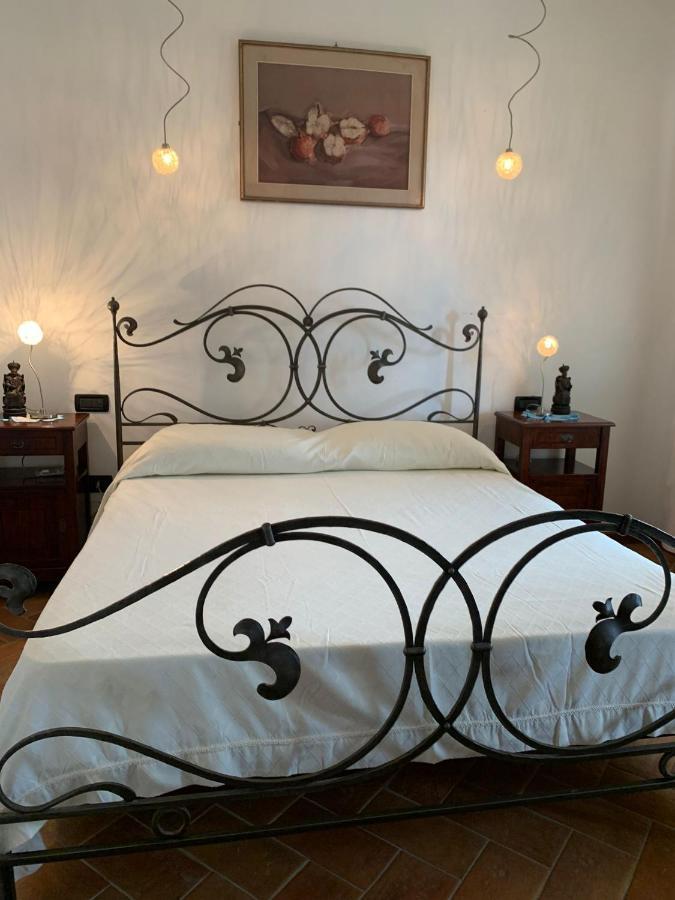 La Terrazza Sulla Versilia 彼得拉桑塔 外观 照片