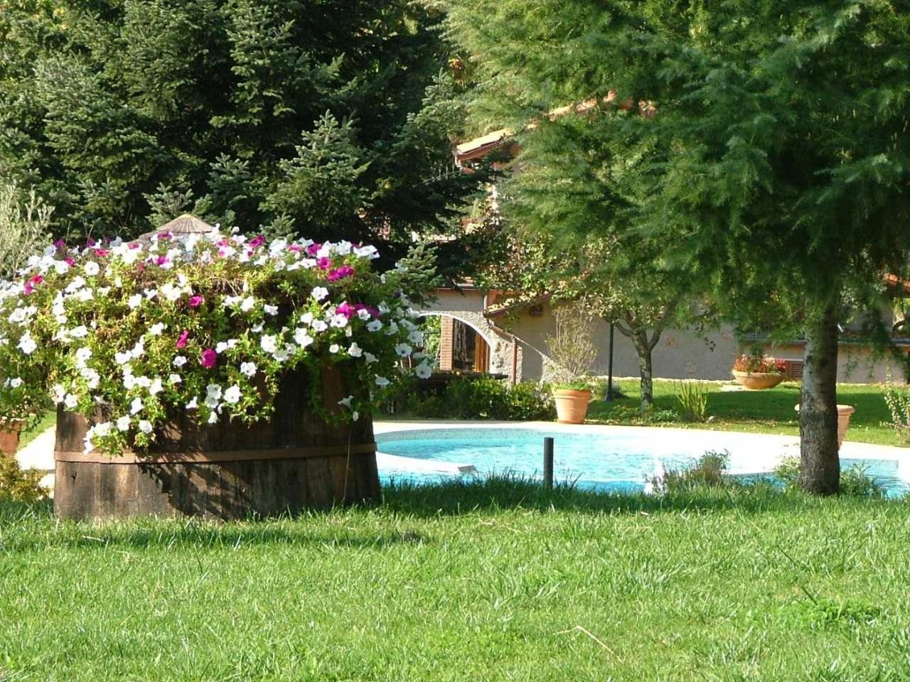 La Terrazza Sulla Versilia 彼得拉桑塔 外观 照片