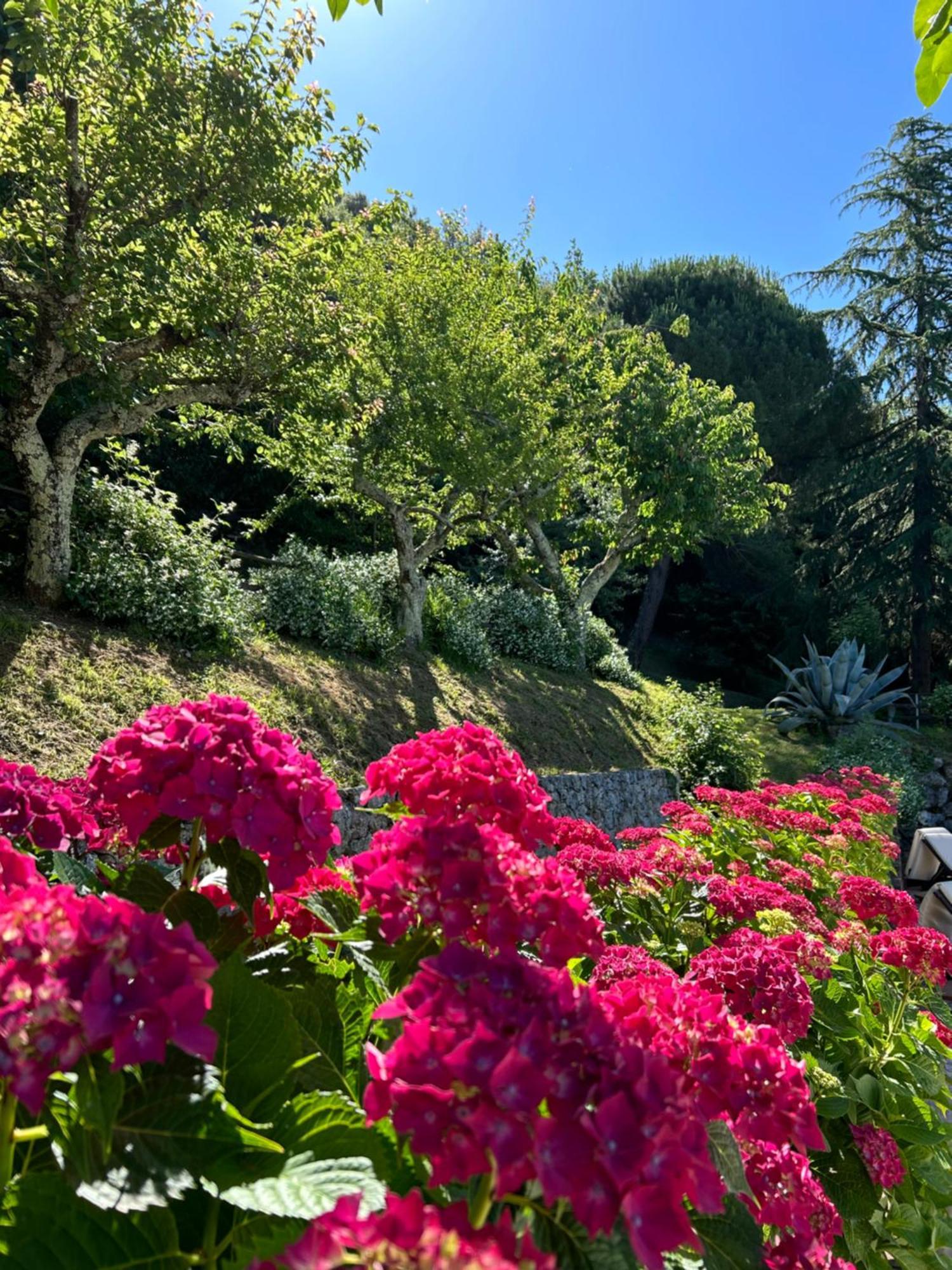La Terrazza Sulla Versilia 彼得拉桑塔 外观 照片