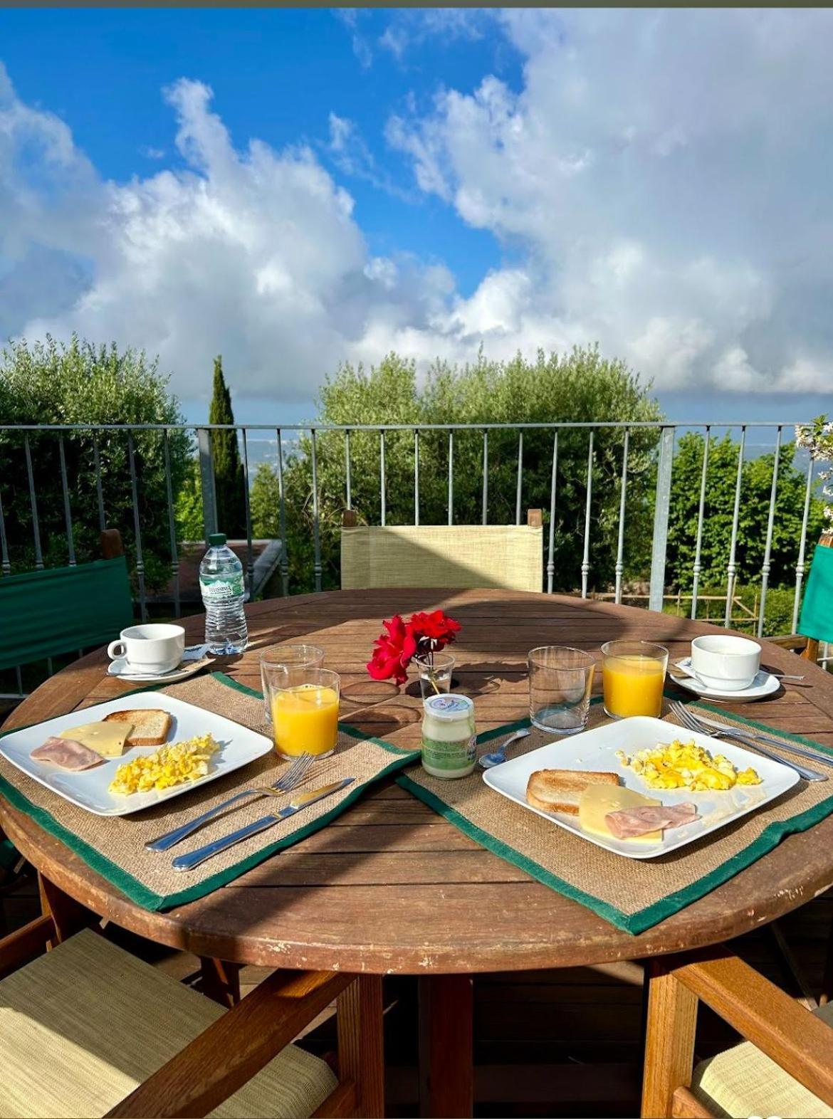 La Terrazza Sulla Versilia 彼得拉桑塔 外观 照片